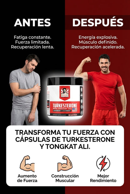 Turkesterone - Cápsulas de Ajuga Turkestanica con Tongkat Ali para Resistencia, Fuerza y Vitalidad Masculina (120 Cápsulas) – SuperHuman™